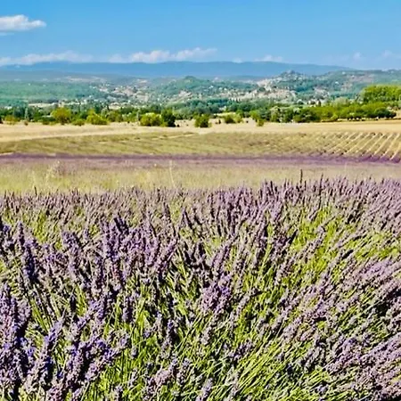 Luxueuse En Provence, Luberon Mane