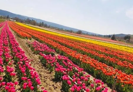 Willa Luxueuse En Provence, Luberon