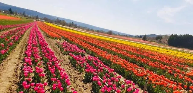 Villa Luxueuse En Provence, Luberon