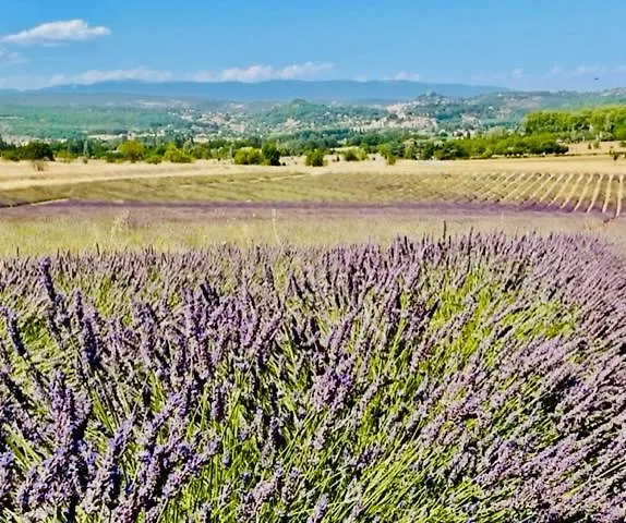 Luxueuse En Provence, Luberon Mane (Alpes-de-Haute-Provence)